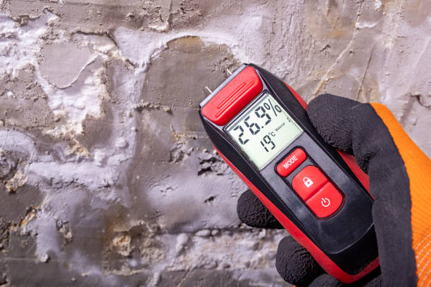 Best Local Mold Removal Service  in East Richmond Heights, CA